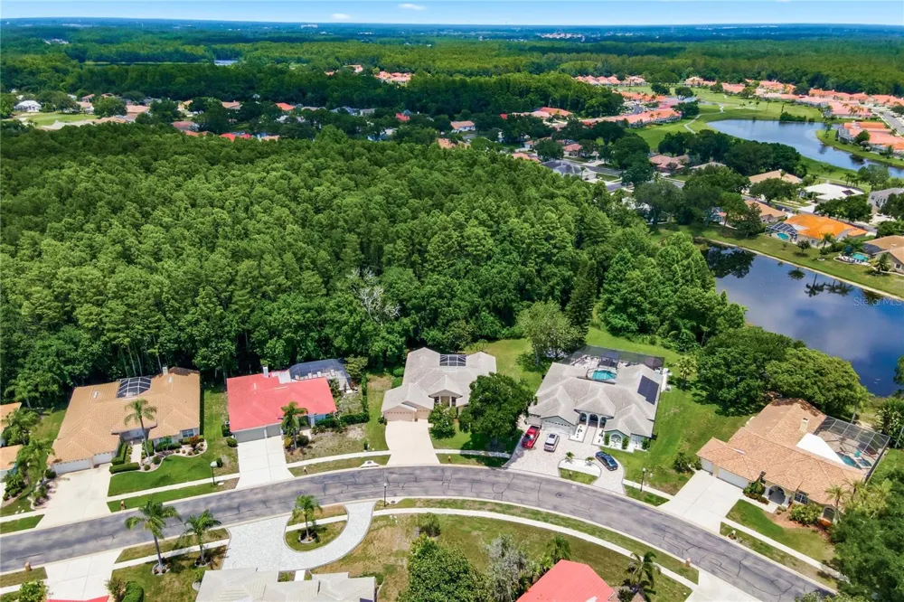 3187 STERLING STREET Tarpon Springs, FL 34688