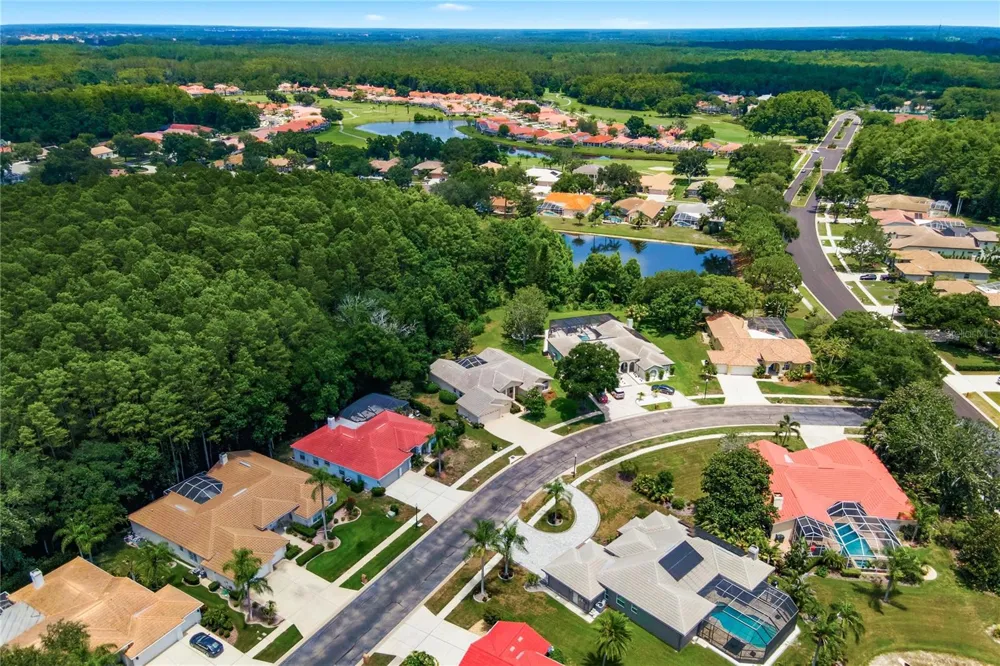 3187 STERLING STREET Tarpon Springs, FL 34688