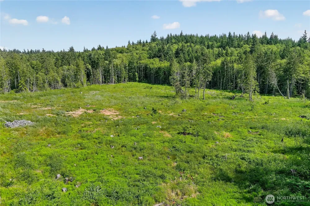 0 xxx Oak Harbor Oak Harbor, WA 98277