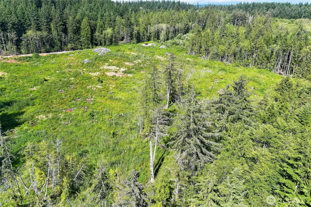 0 xxx Oak Harbor Oak Harbor, WA 98277