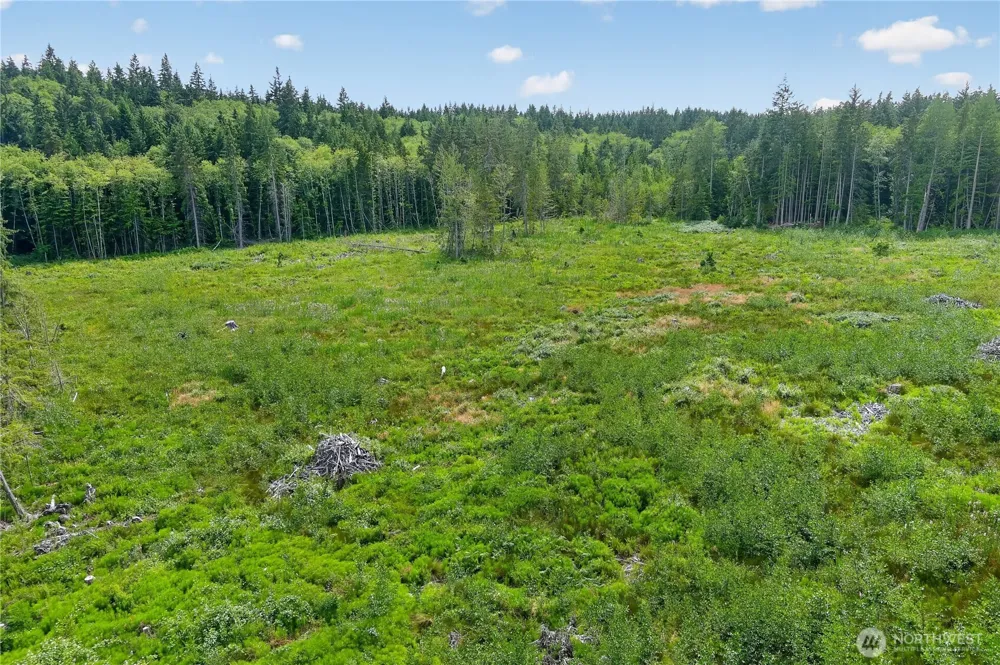 0 xxx Oak Harbor Oak Harbor, WA 98277