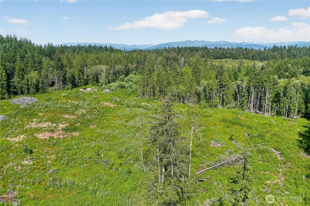 0 xxx Oak Harbor Oak Harbor, WA 98277