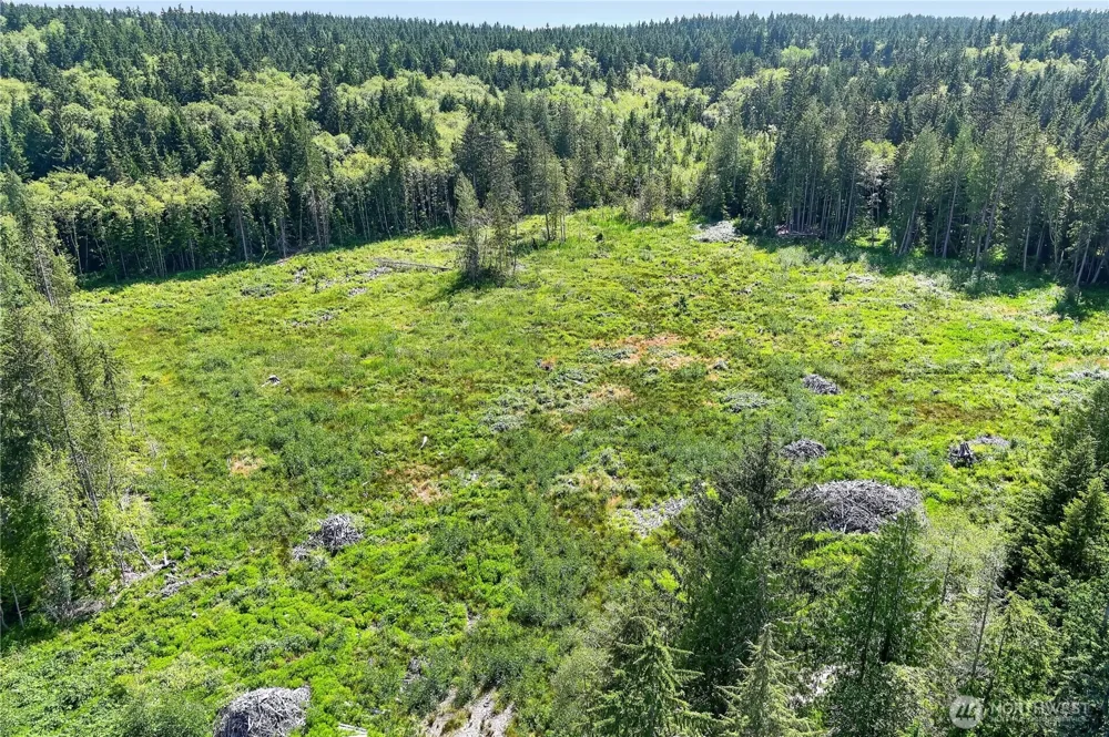 0 xxx Oak Harbor Oak Harbor, WA 98277