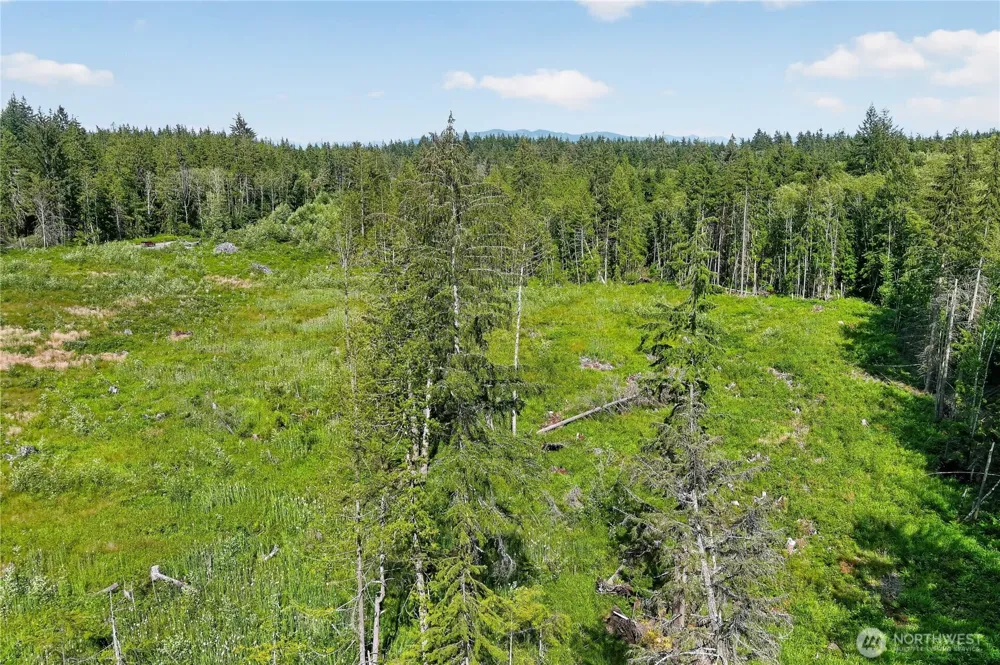 0 xxx Oak Harbor Oak Harbor, WA 98277