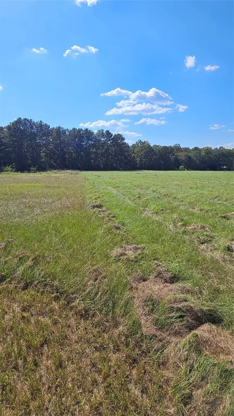 Hawthorne Road