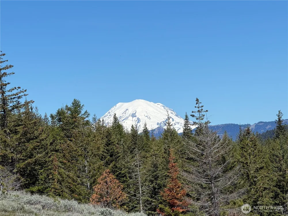 1524 Nasty Creek Road Yakima, WA 98903