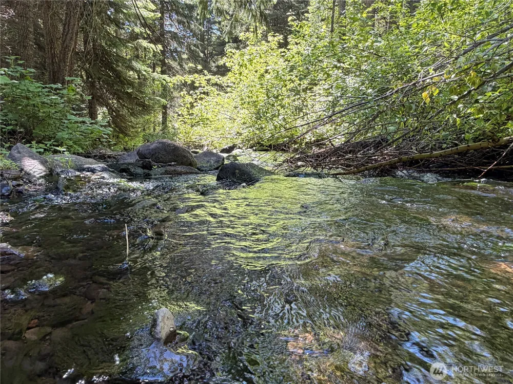 1524 Nasty Creek Road Yakima, WA 98903