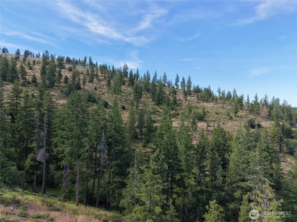 1524 Nasty Creek Road Yakima, WA 98903