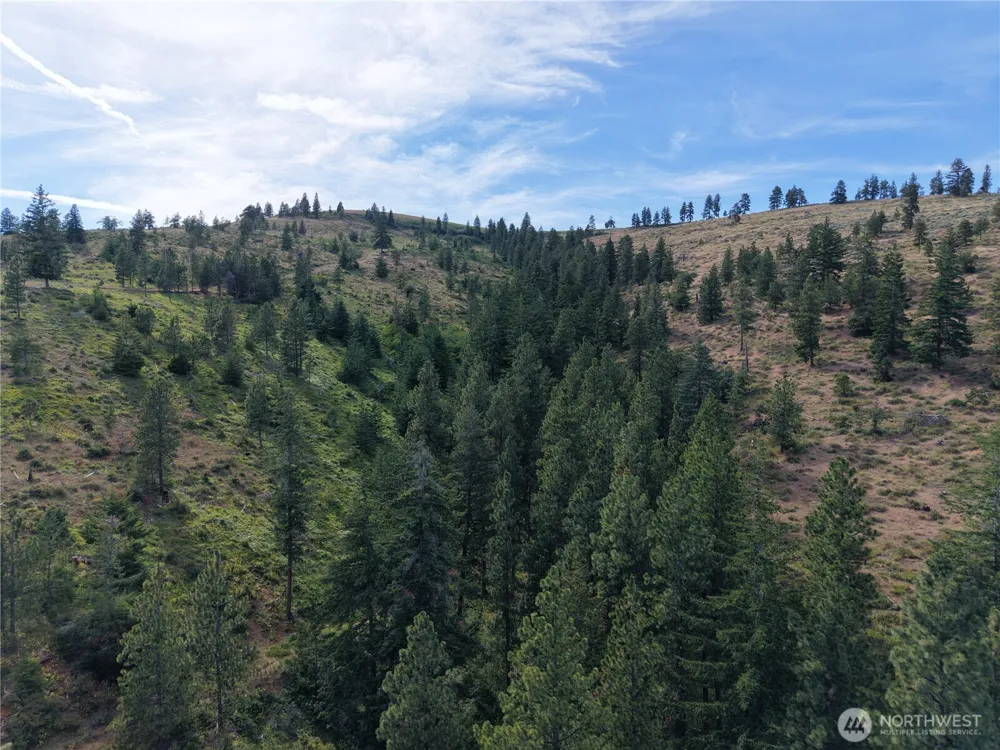 1524 Nasty Creek Road Yakima, WA 98903
