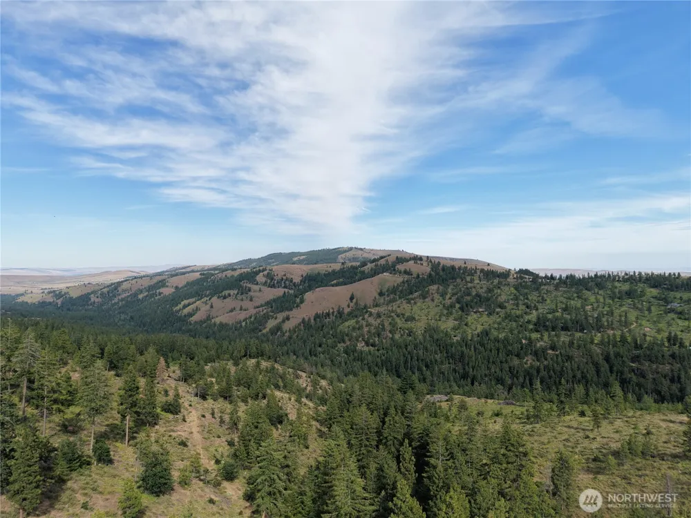 1524 Nasty Creek Road Yakima, WA 98903