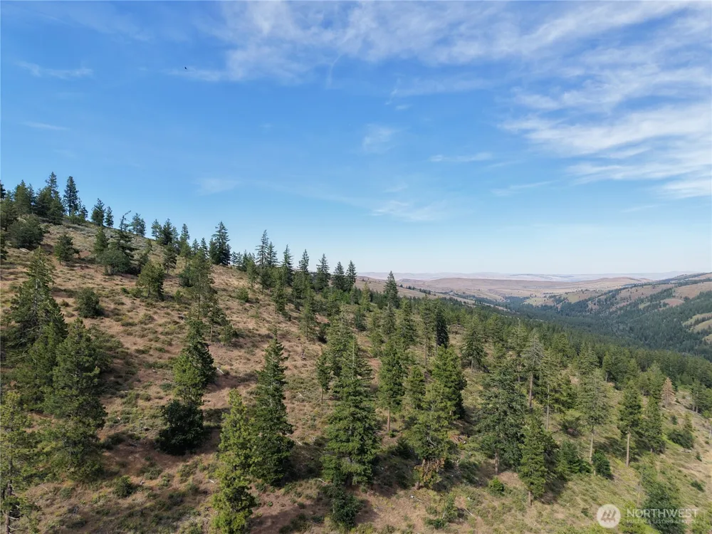 1524 Nasty Creek Road Yakima, WA 98903