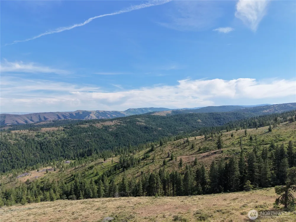 1524 Nasty Creek Road Yakima, WA 98903