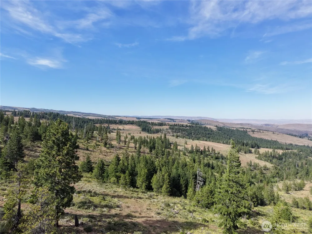1524 Nasty Creek Road Yakima, WA 98903