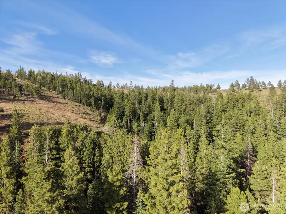1524 Nasty Creek Road Yakima, WA 98903