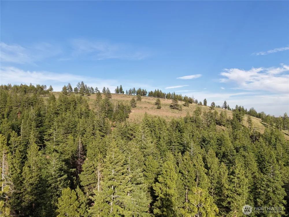 1524 Nasty Creek Road Yakima, WA 98903