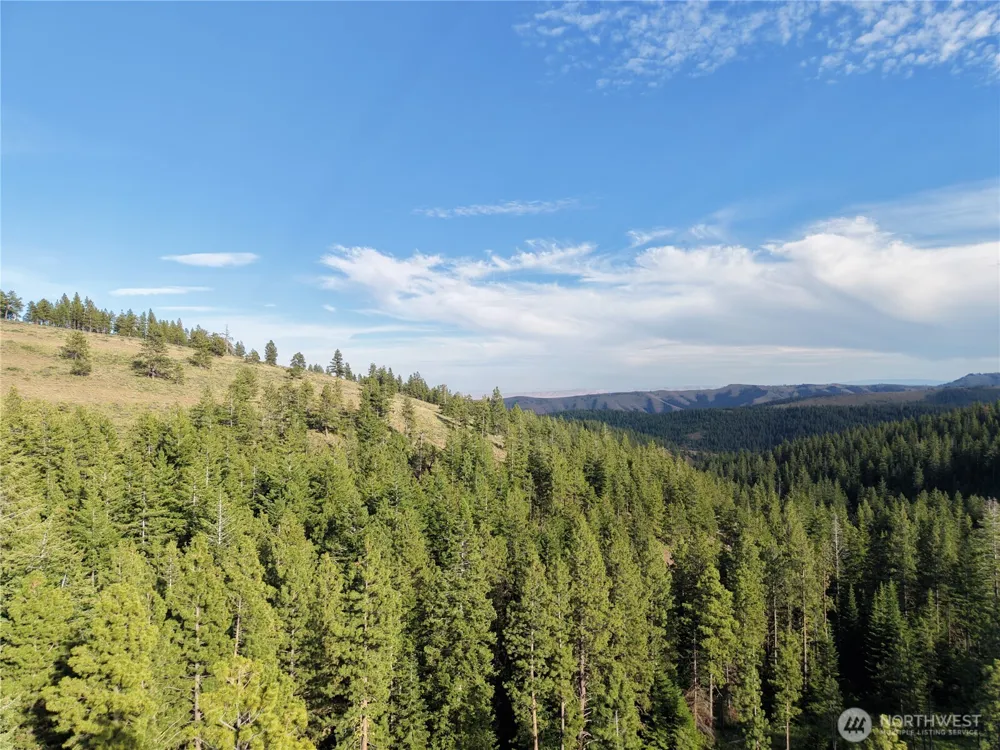 1524 Nasty Creek Road Yakima, WA 98903