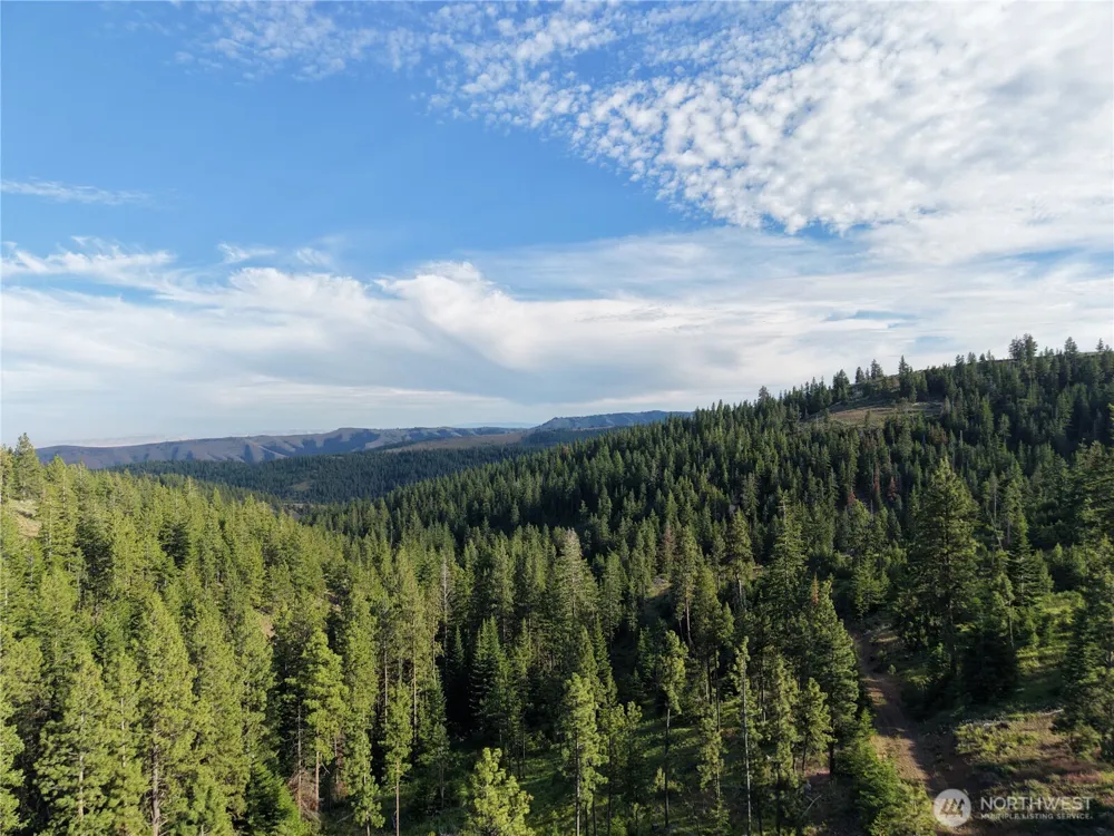 1524 Nasty Creek Road Yakima, WA 98903
