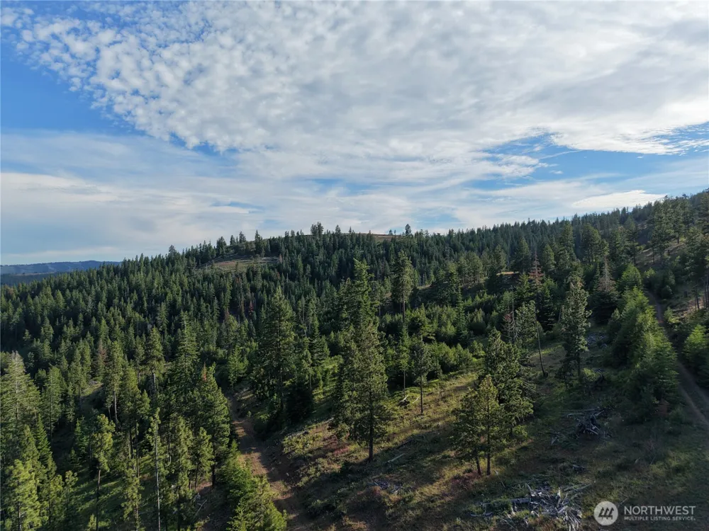 1524 Nasty Creek Road Yakima, WA 98903