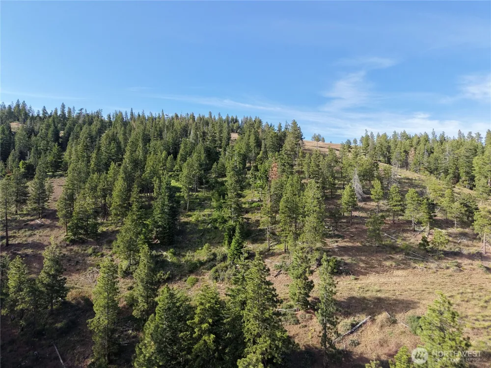 1524 Nasty Creek Road Yakima, WA 98903