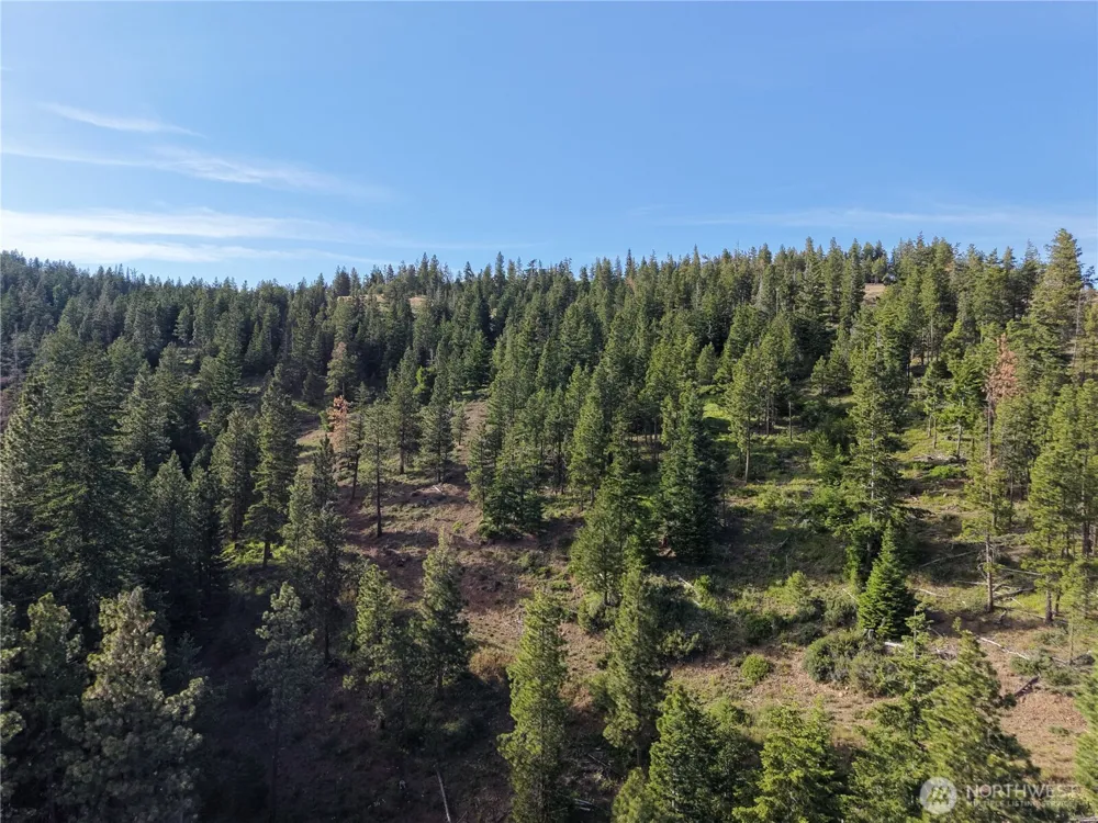 1524 Nasty Creek Road Yakima, WA 98903