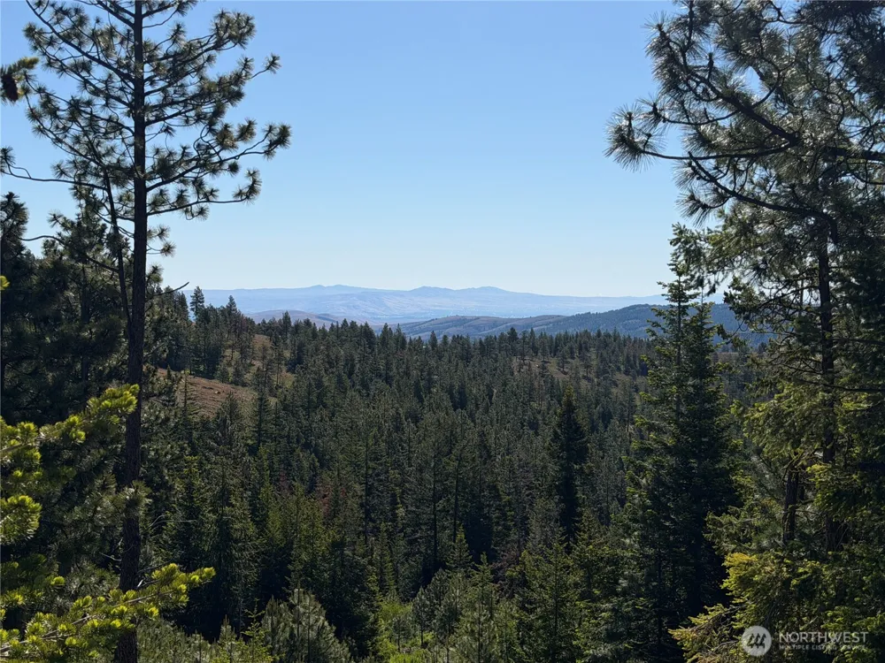 1524 Nasty Creek Road Yakima, WA 98903