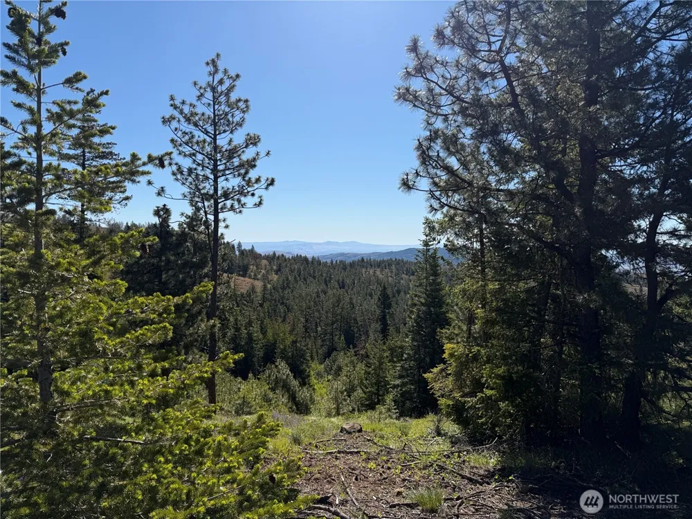 1524 Nasty Creek Road Yakima, WA 98903