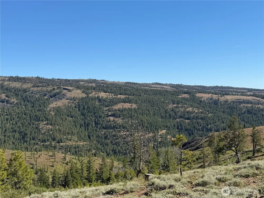 1524 Nasty Creek Road Yakima, WA 98903