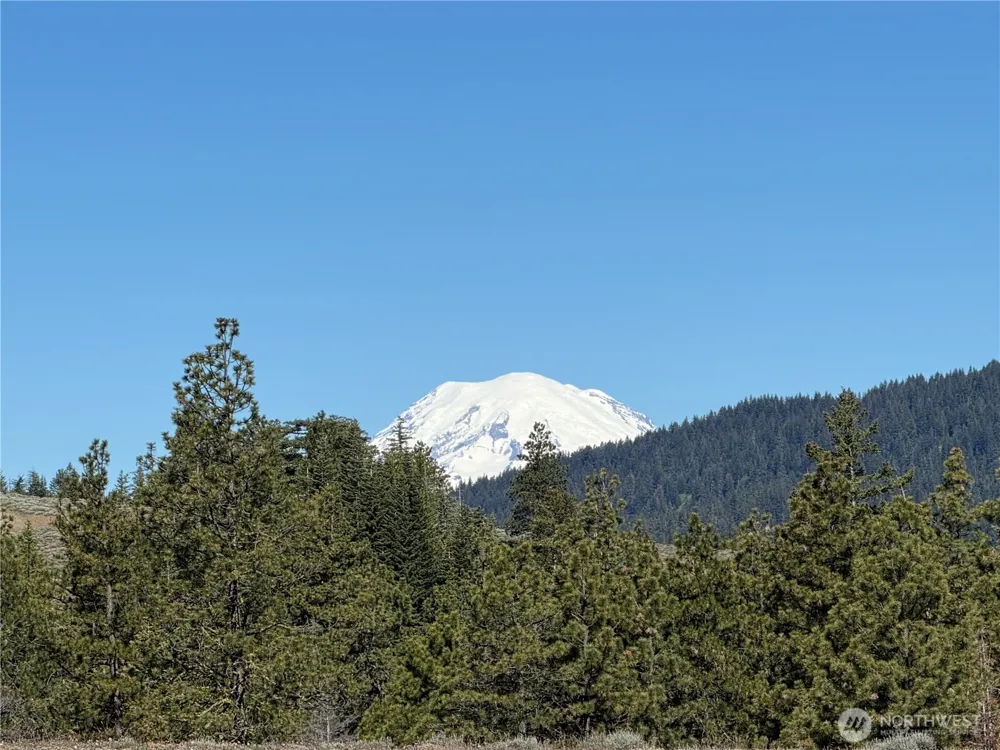 1524 Nasty Creek Road Yakima, WA 98903