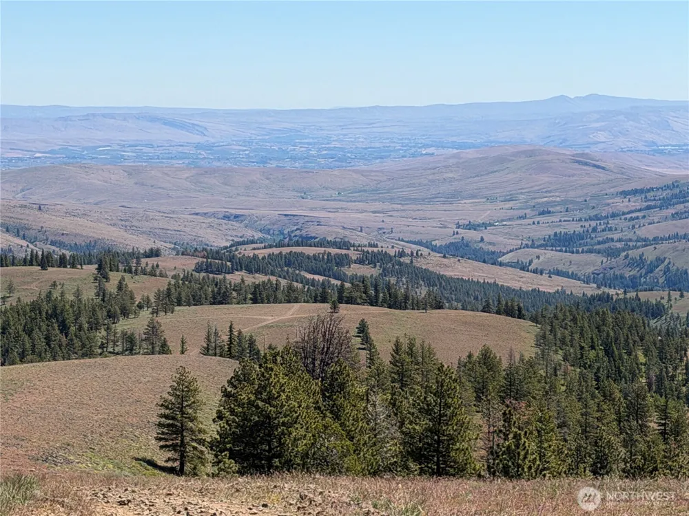1524 Nasty Creek Road Yakima, WA 98903