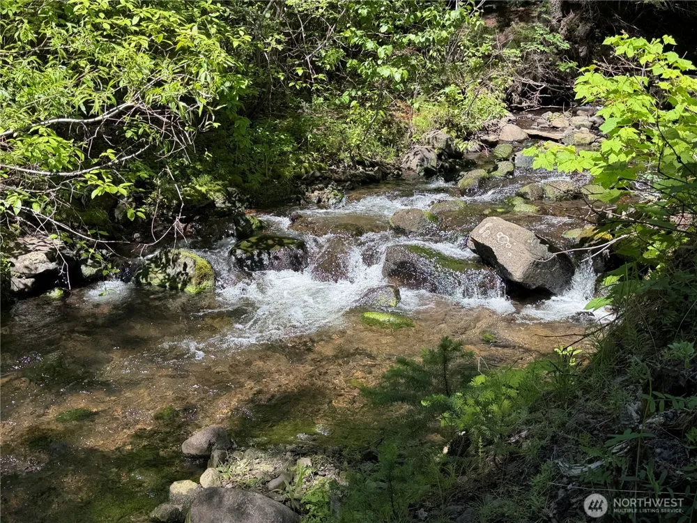 1524 Nasty Creek Road Yakima, WA 98903