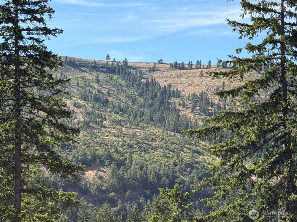 1524 Nasty Creek Road Yakima, WA 98903