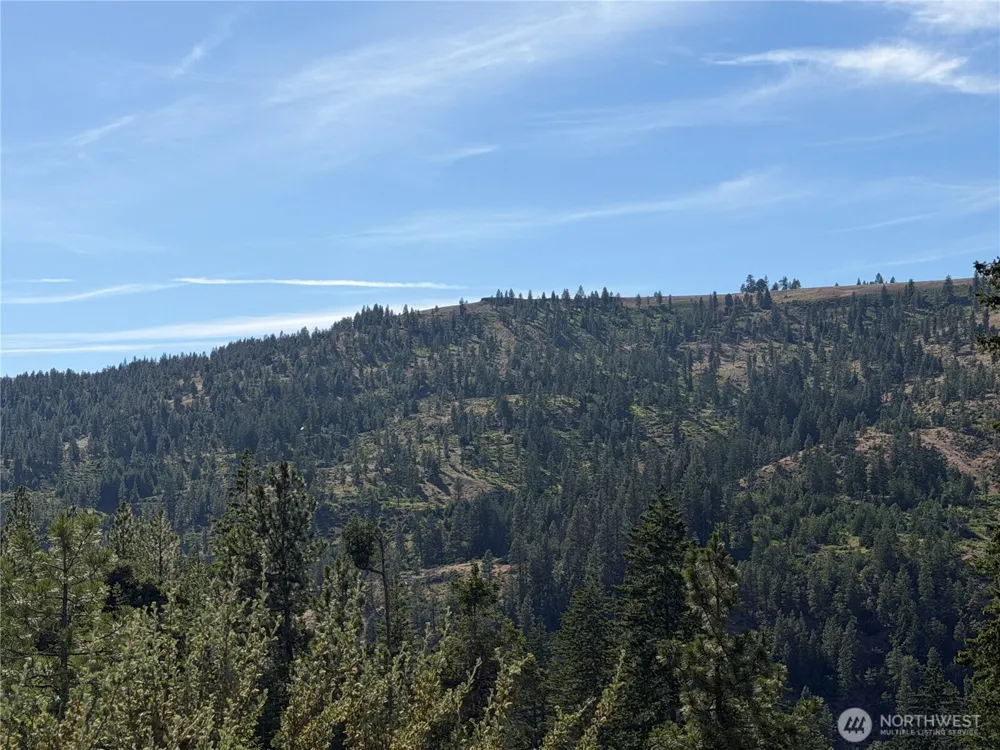 1524 Nasty Creek Road Yakima, WA 98903