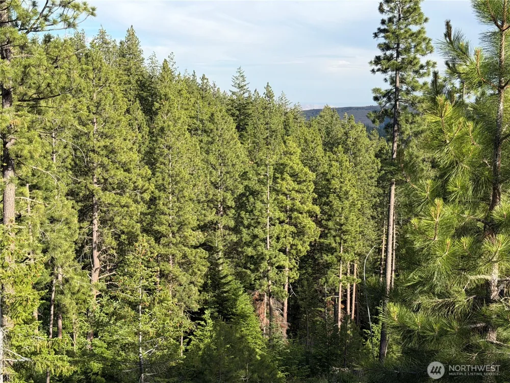 1524 Nasty Creek Road Yakima, WA 98903