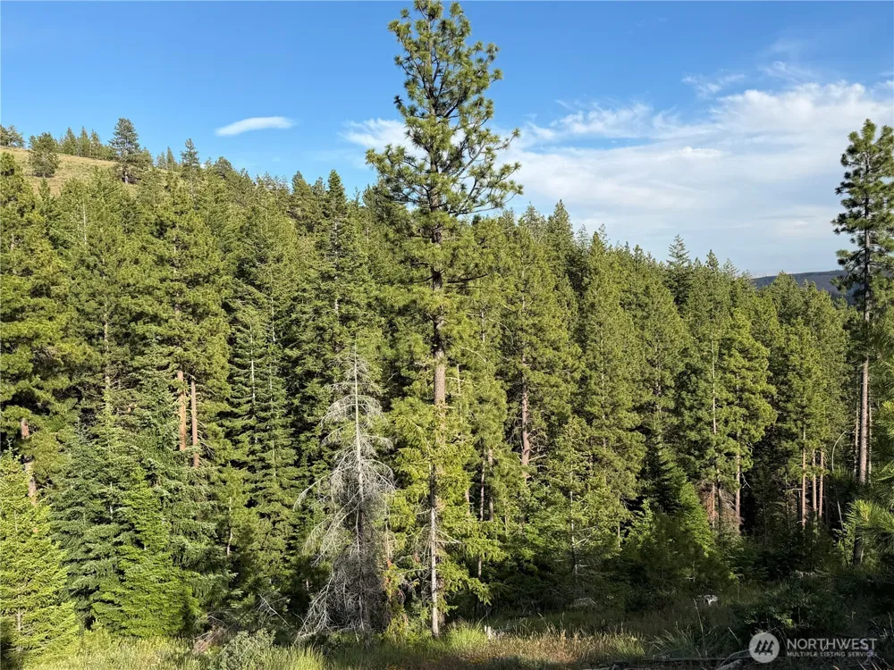 1524 Nasty Creek Road Yakima, WA 98903