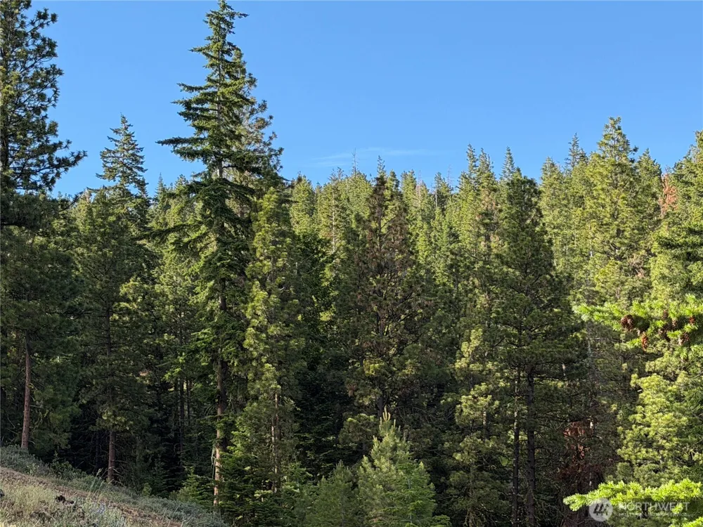 1524 Nasty Creek Road Yakima, WA 98903