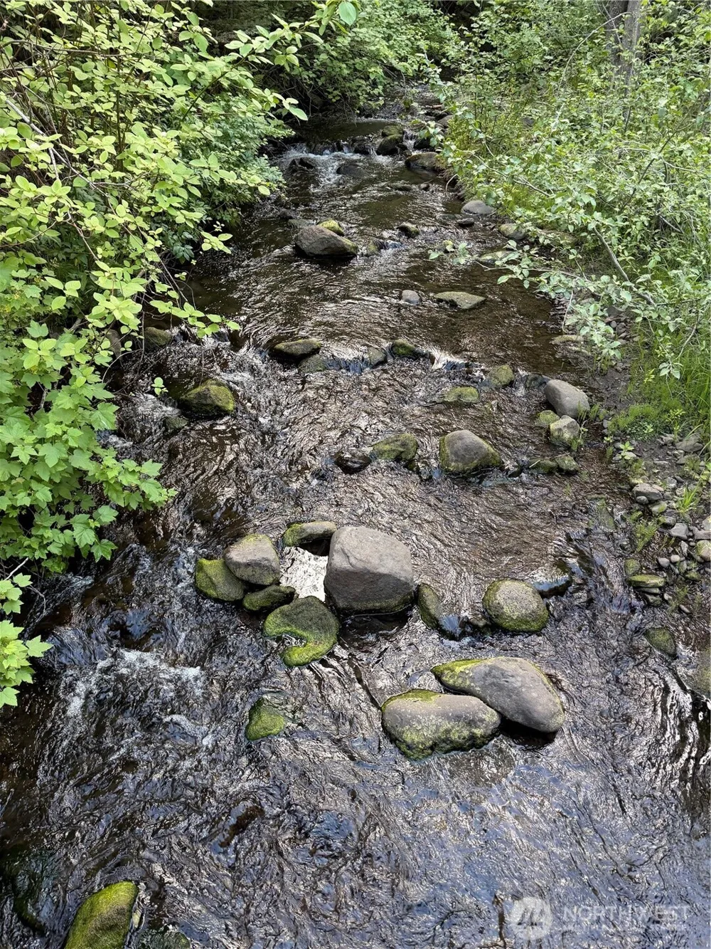 1524 Nasty Creek Road Yakima, WA 98903