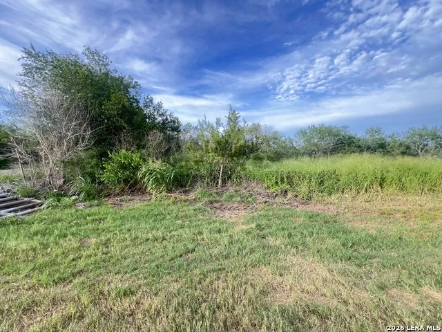 620 CR Skidmore, TX 78389