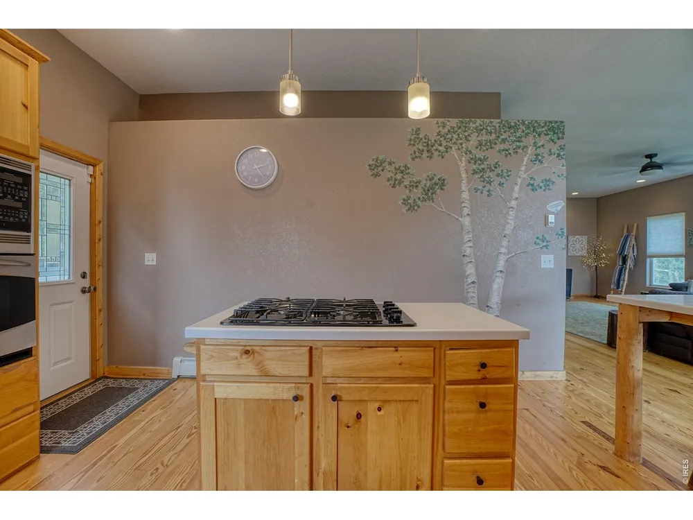 2353 Dory Hill Road Black Hawk, CO 80422