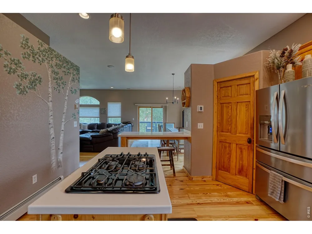 2353 Dory Hill Road Black Hawk, CO 80422