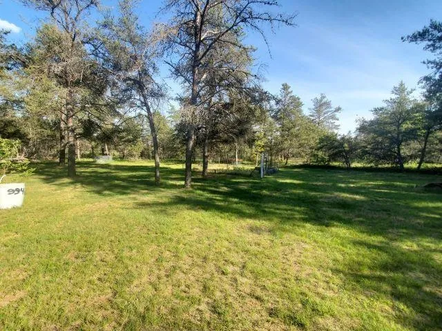 4847 Odessa Road Foster Township, MI 48661