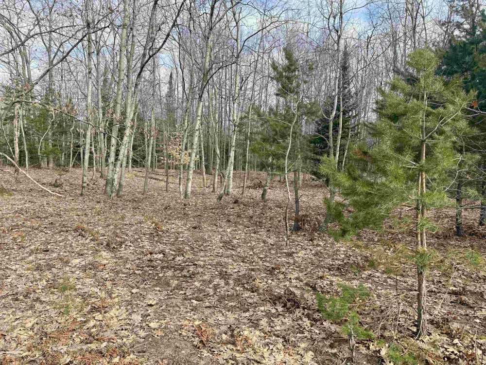E Sandy Lane Cleveland Township, MI 49621