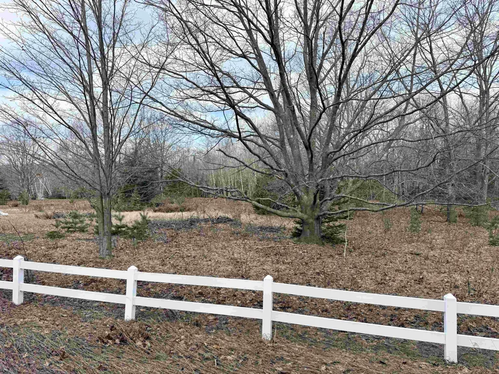 E Sandy Lane Cleveland Township, MI 49621
