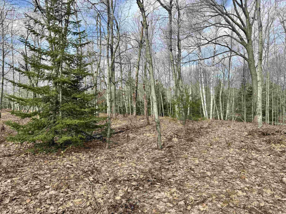 E Sandy Lane Cleveland Township, MI 49621