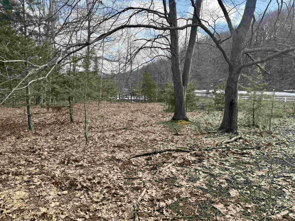 E Sandy Lane Cleveland Township, MI 49621