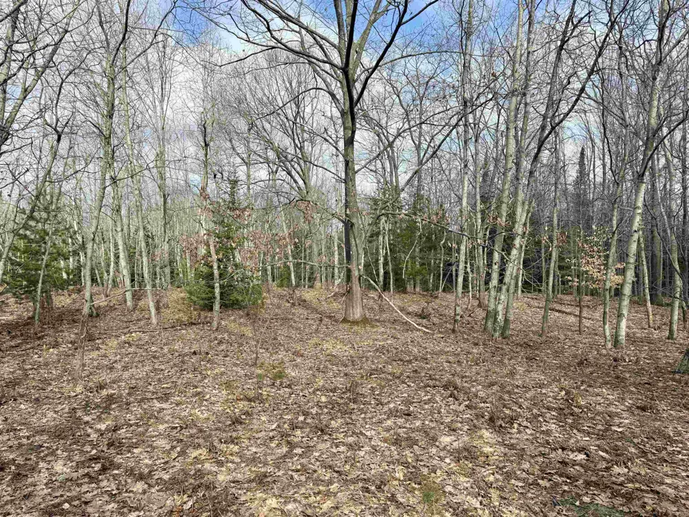 E Sandy Lane Cleveland Township, MI 49621