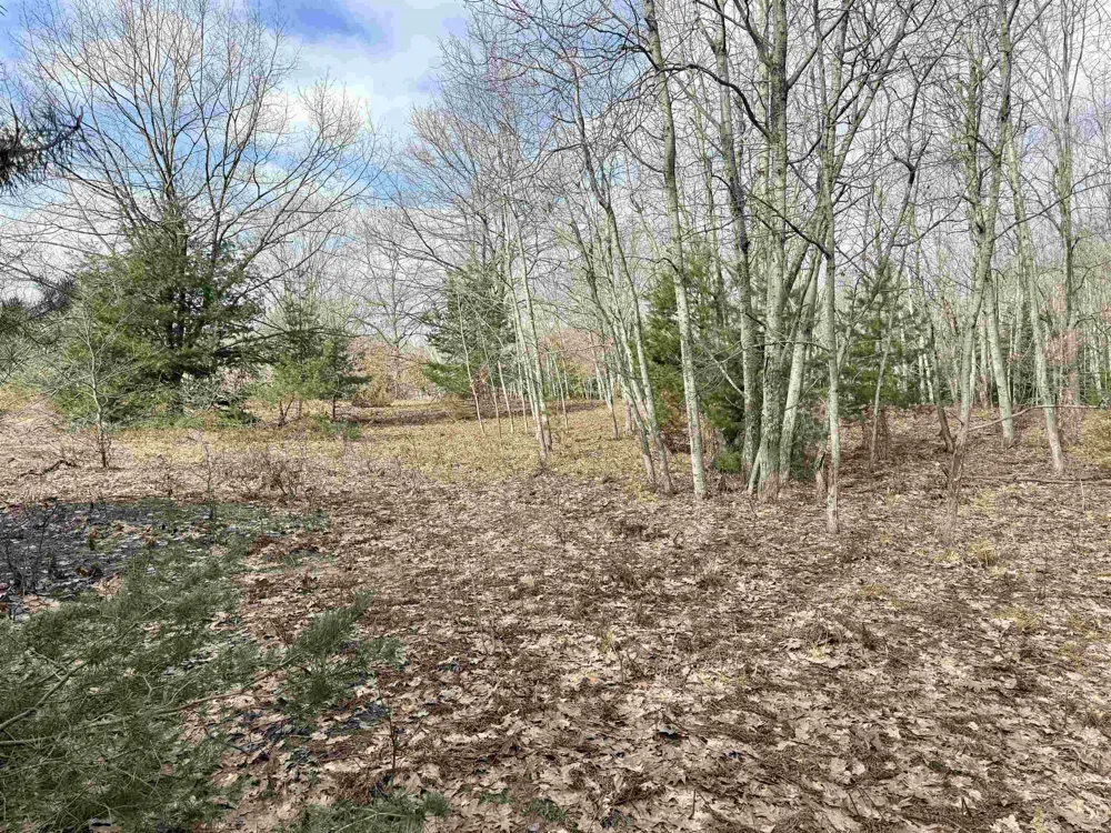 E Sandy Lane Cleveland Township, MI 49621