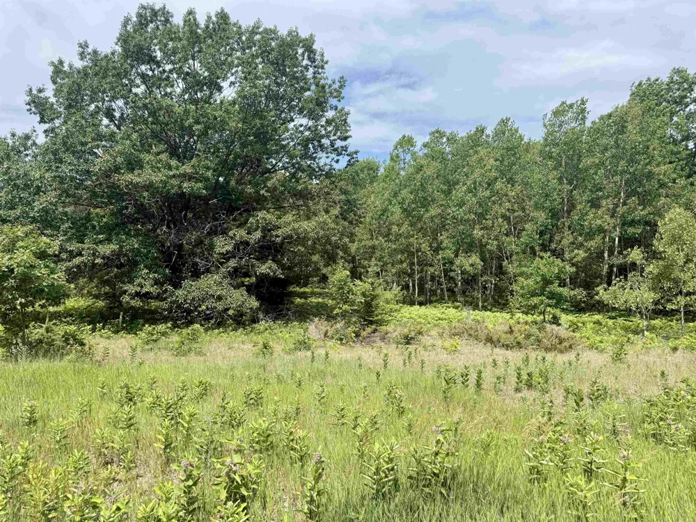 E Sandy Lane Cleveland Township, MI 49621