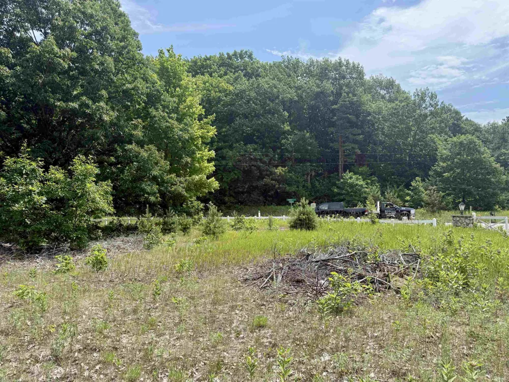E Sandy Lane Cleveland Township, MI 49621