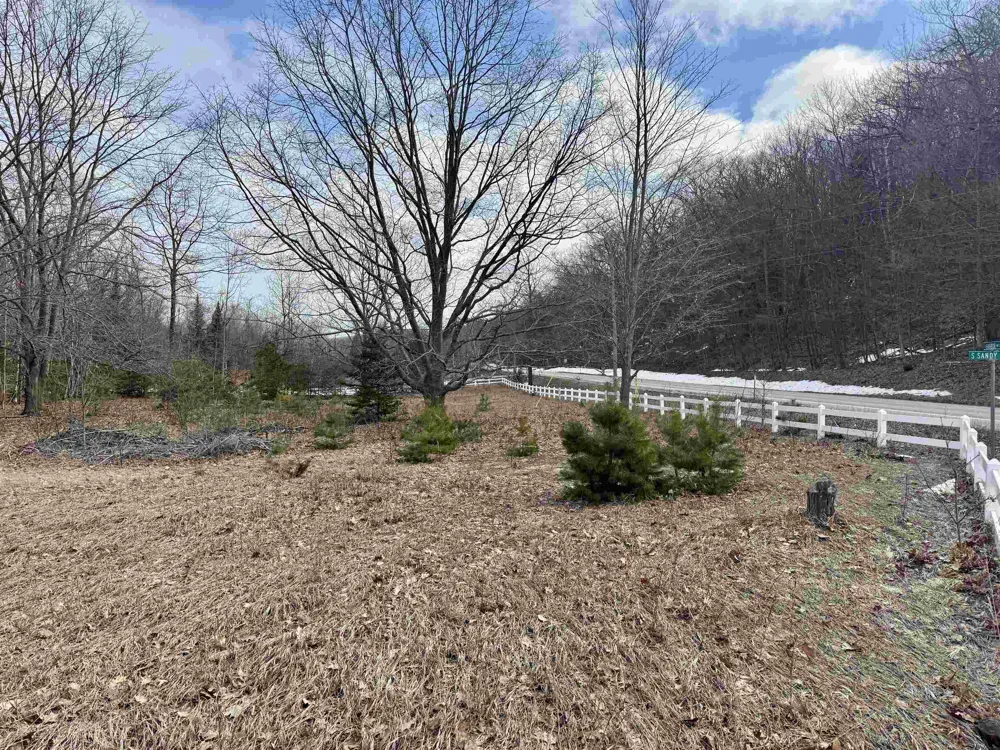 E Sandy Lane Cleveland Township, MI 49621