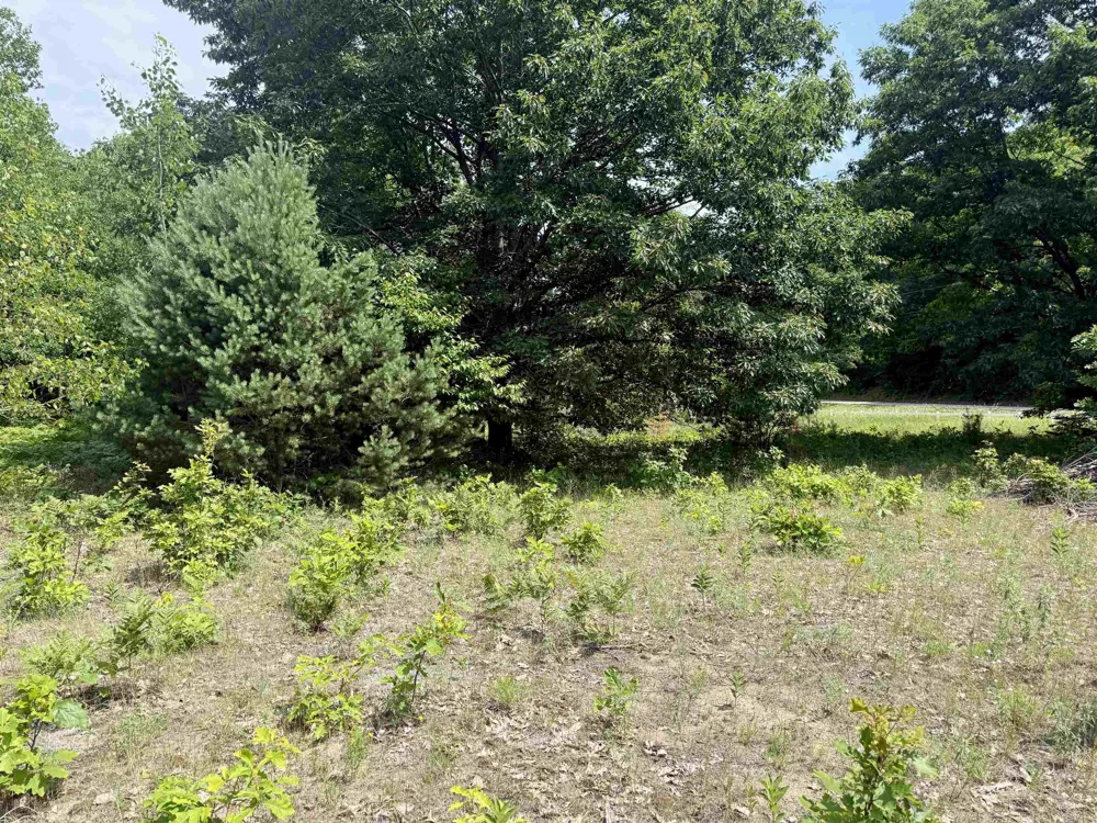 E Sandy Lane Cleveland Township, MI 49621